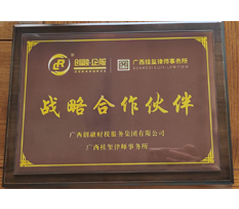 战略合作伙伴